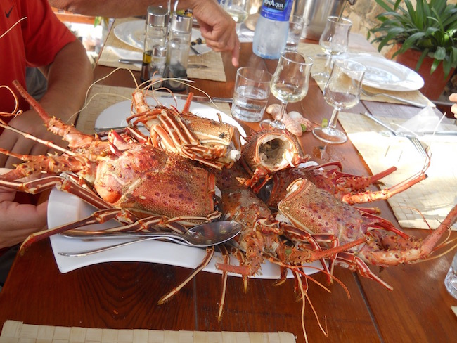 Aragoste_Boavista Aragoste_Boavista