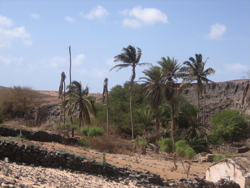 deserto_Boavista_Caboverde Boavista deserto
