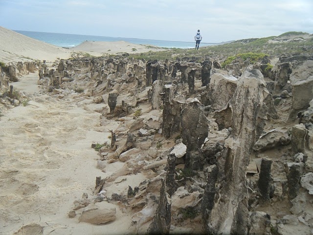 racconti_Capoverde racconti_Capoverde Boavista