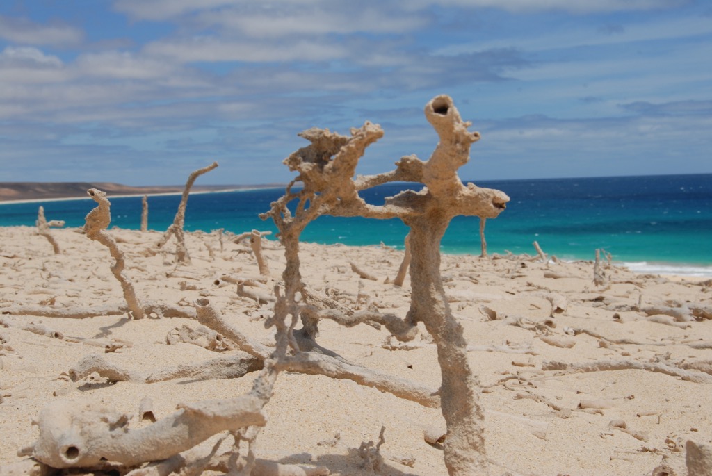Vacanze_Cabo-verde_Boavista