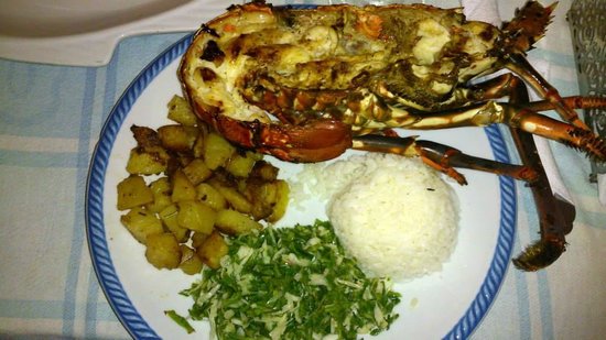 blue-marlin-aragosta