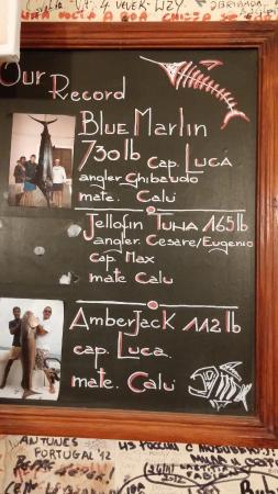 blue-marlin-record pesca