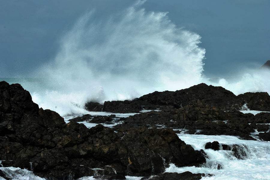Naturalia Boavista Ecoturismo Naturalia Boavista Ecoturismo