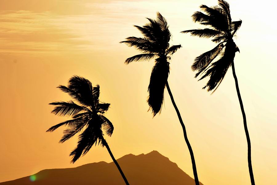 Naturalia Boavista Ecoturismo2 Naturalia Boavista Ecoturismo