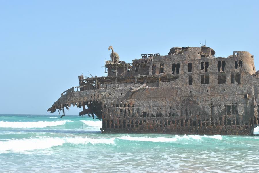 Naturalia Boavista Ecoturismo3 Naturalia Boavista Ecoturismo