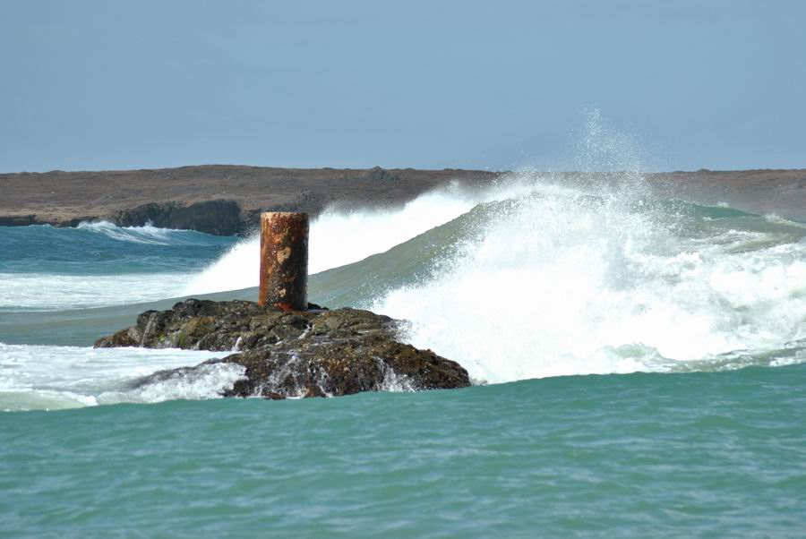 Naturalia Boavista Ecoturismo4 Naturalia Boavista Ecoturismo