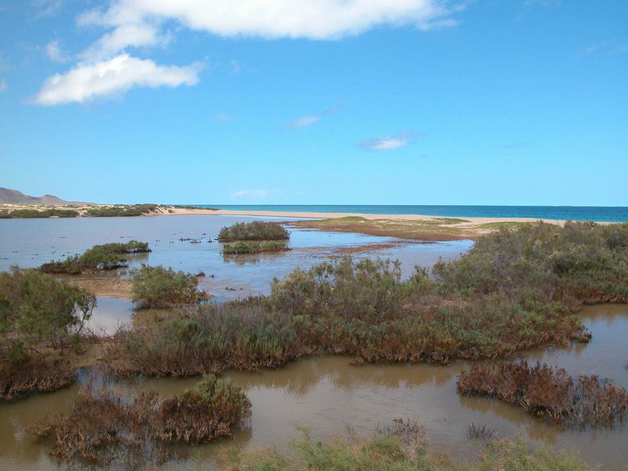 Naturalia Boavista Ecoturismo5 Naturalia Boavista Ecoturismo