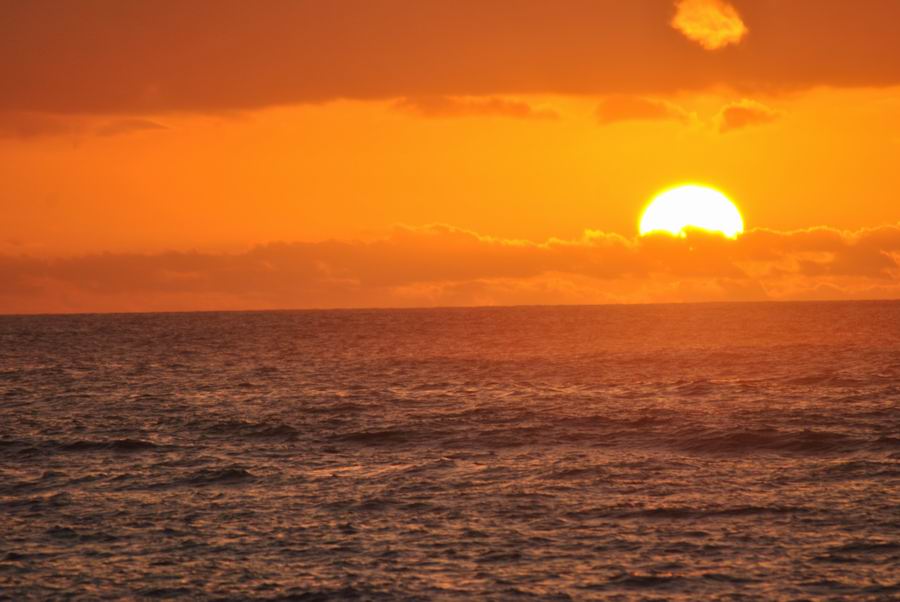 Naturalia Boavista Ecoturismo6 Naturalia Boavista Ecoturismo