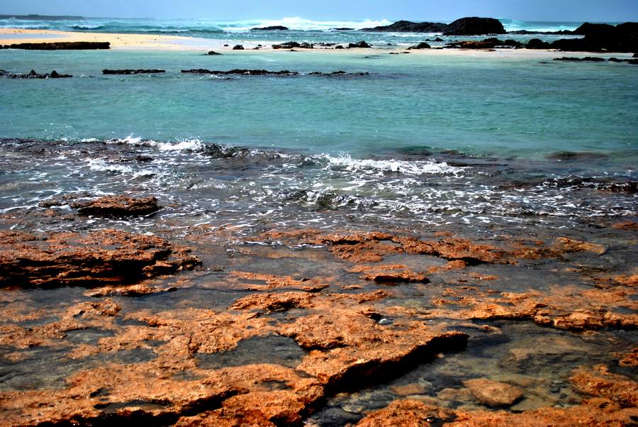 Naturalia Boavista Ecoturismo8 Naturalia Boavista Ecoturismo