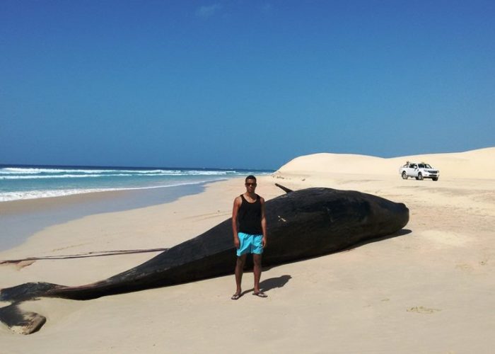 escursione Cau Tour 14