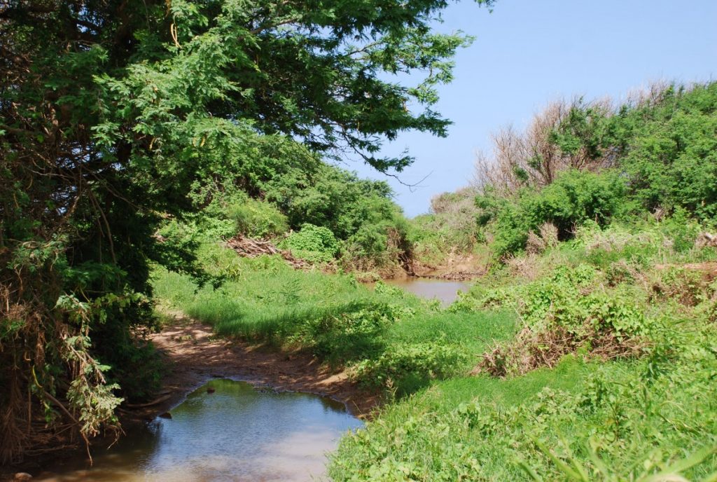 Pacchetto volo appartamento fronte mare Capoverde