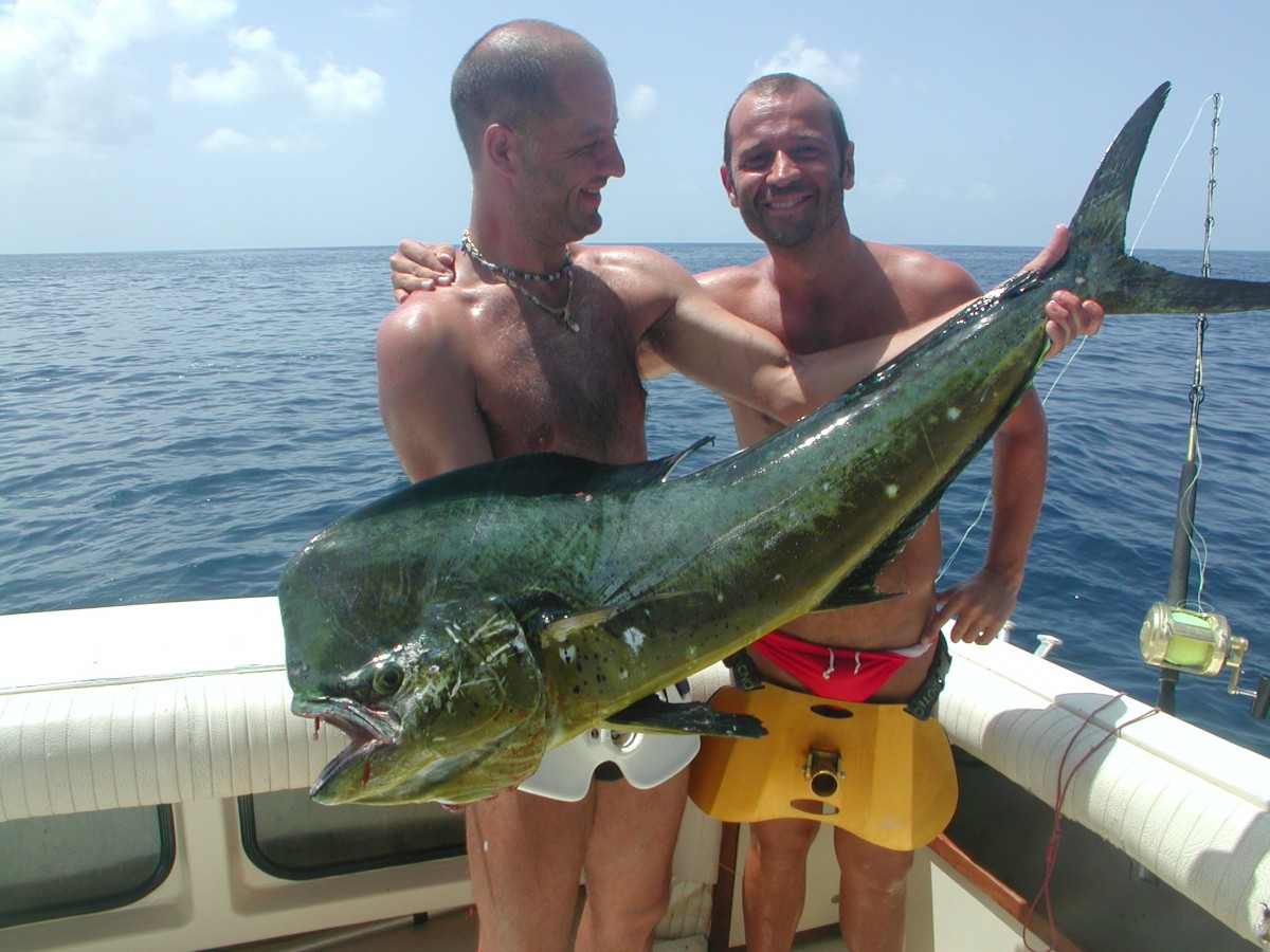 Boavista traina pesca