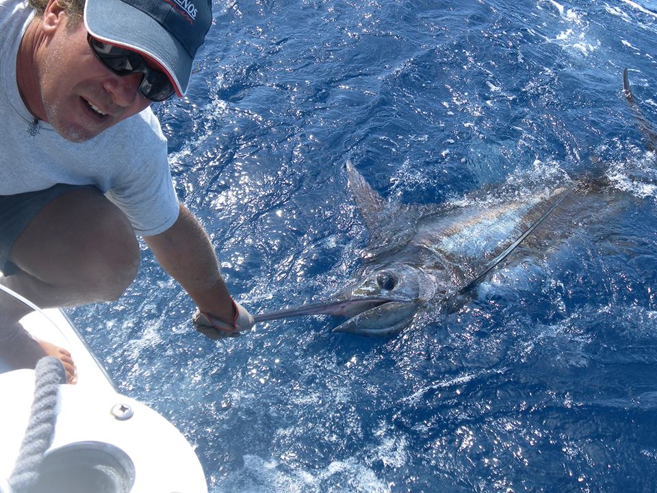 Marlin Capo Verde