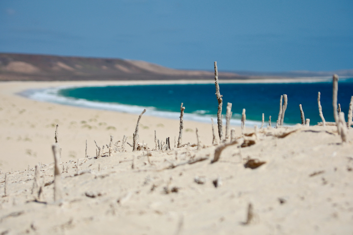 vacanza last minute marzo aprile boavista capo verde