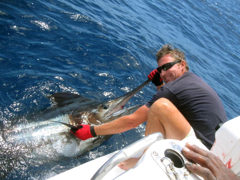 pesca al Marlin boavista capoverde