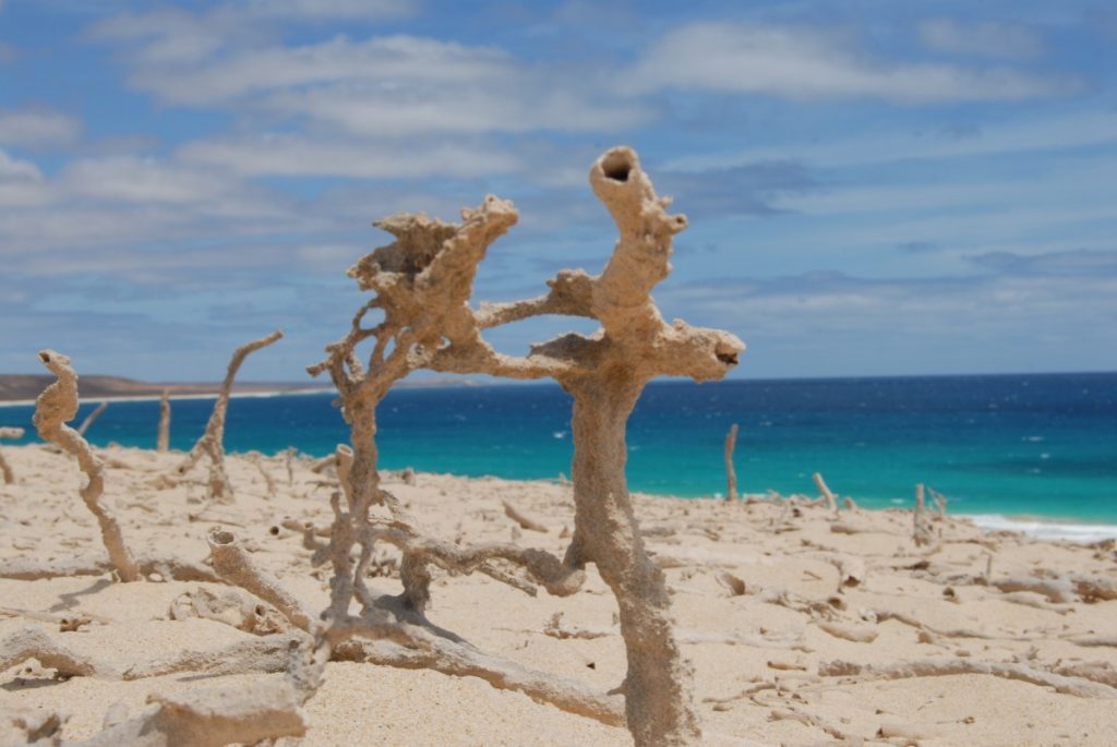 offerte luglio capoverde Boavista