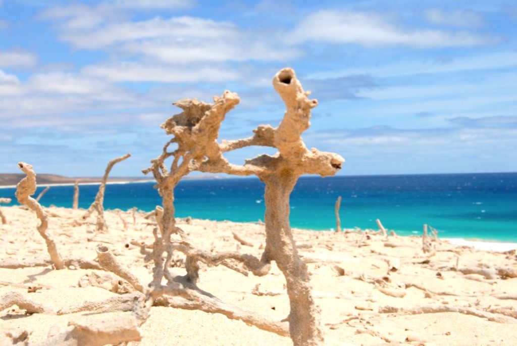 vacanze capoverde boa vista