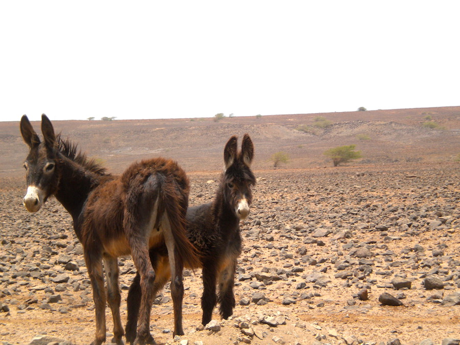 Boa Vista… NO STRESS!