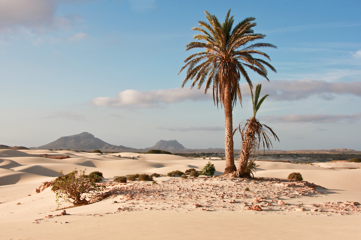 vacanza a boavista capo verde