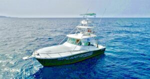 Capo Verde Pesca Marlin