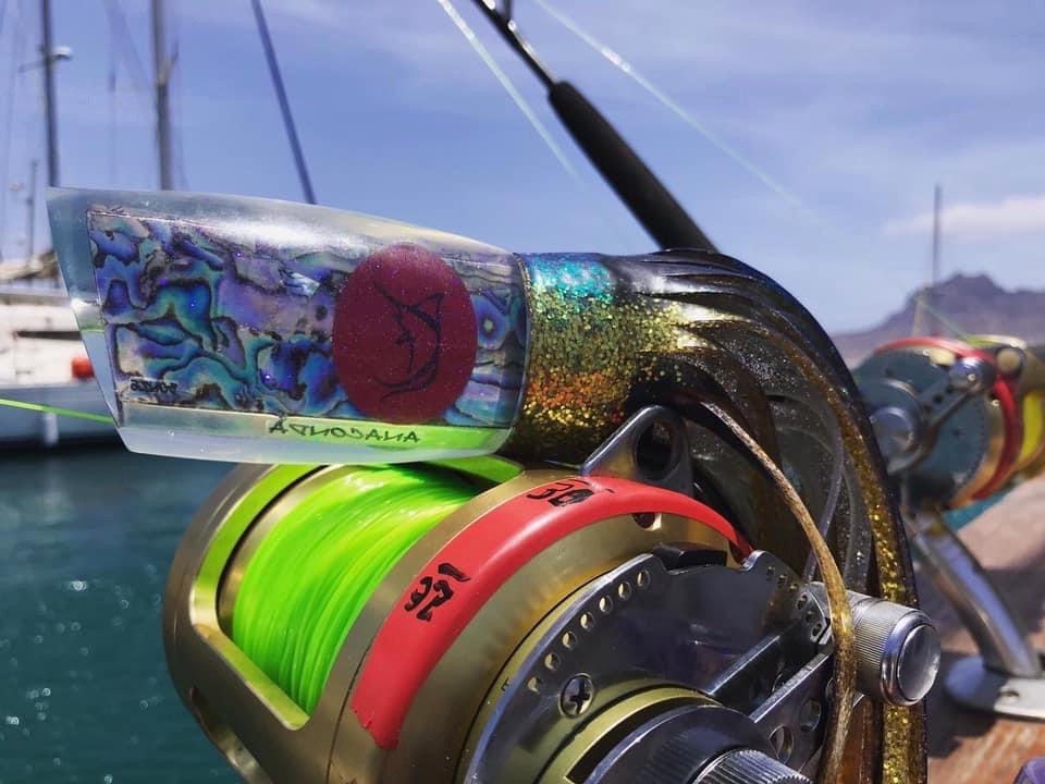 Pesca Capo Verde Novembre