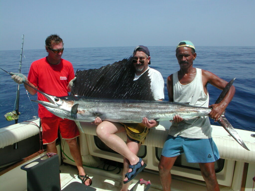 pesce vela sailing Capoverde